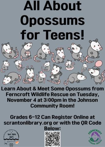 All about Opossums