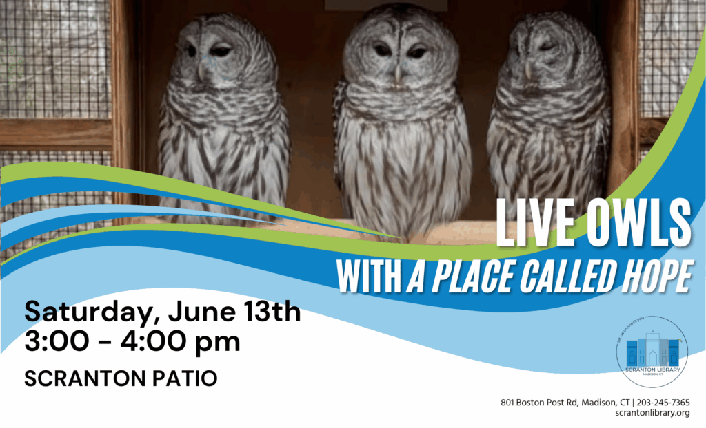 Live Owls
