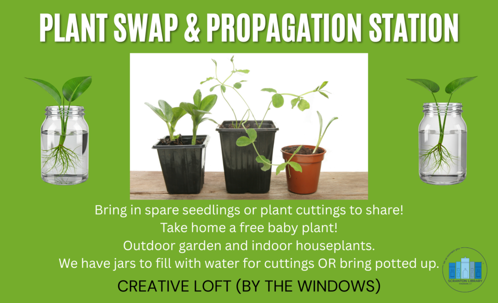 Plant Swap Propagation