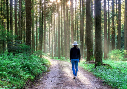 Forest Bathing