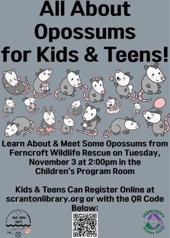 Opossums Return
